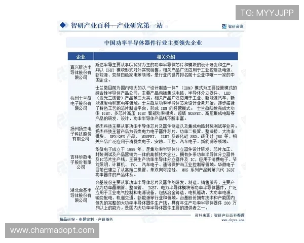 凯发FP电游未来发展趋势分析助你把握行业动态实现持续盈利